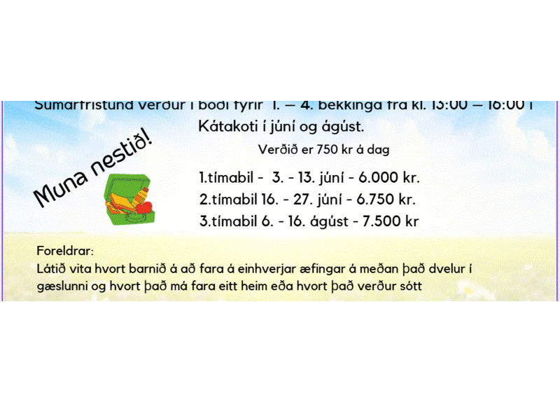 Sumarfristund-2025_1748274202476