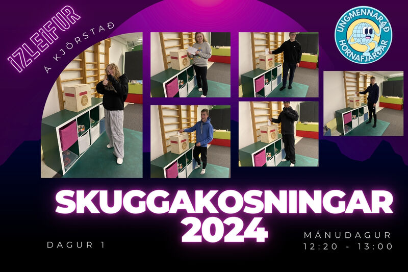 Skuggakosningar_1716824263526