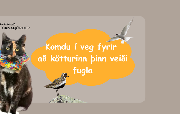 Birdsafe-collar