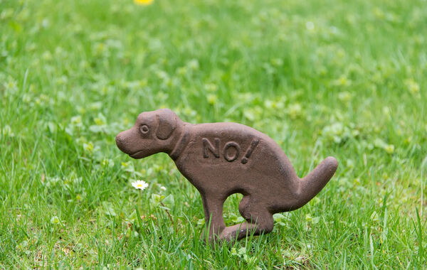 Dog-poop-pick-up-pollution