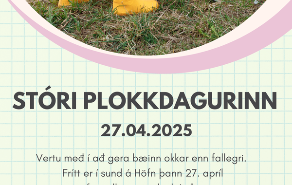 Plokkdagurinn-202501_1745421827538