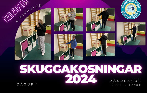 Skuggakosningar_1716824263526